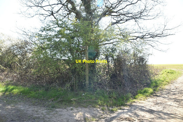 Photo 6"x4" Bridleway, footpath waymarker Blindley Heath c2021