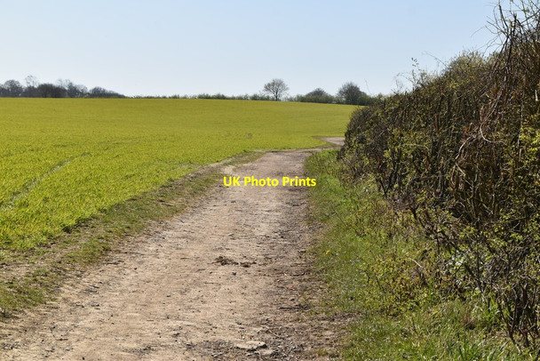 Photo 6"x4" Field edge footpath Blindley Heath c2021