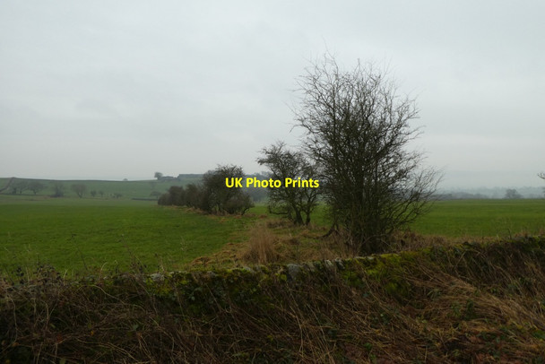 Photo 6"x4" Field boundary opposite Greenmires Lane North Rigton c2021