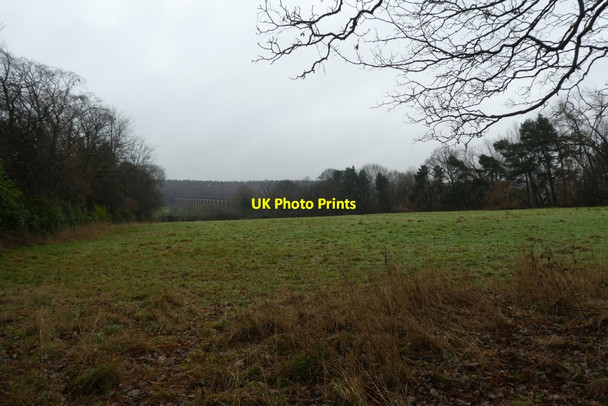 Photo 6"x4" Field near Crimple Viaduct Harrogate c2021