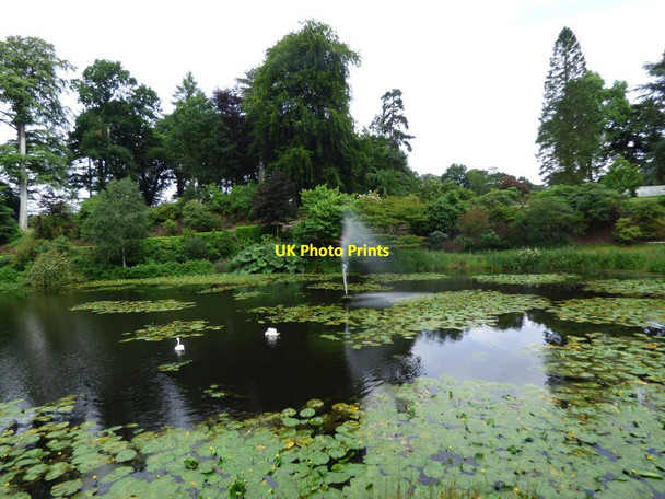 Photo 6"x4" Fountain in the lake at Henbury Hall Longmoss c2017