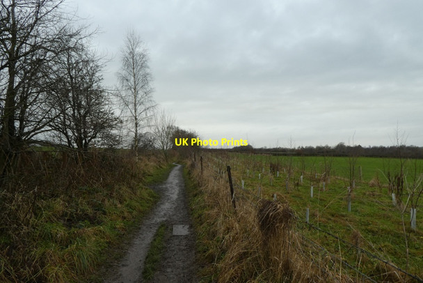 Photo 6"x4" Path to Crag Lane Harrogate c2021