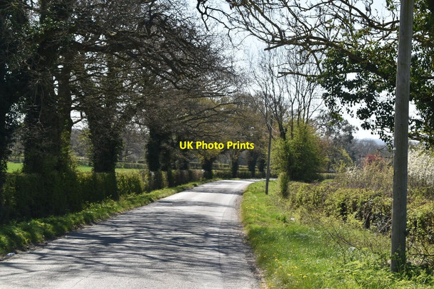 Photo 6"x4" Hornecourt Hill Horne c2021 P2