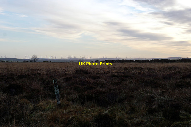 Photo 6"x4" The bog between Scotscalder station and Dorrery Strathcoul c2021