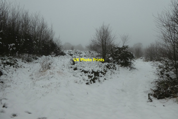 Photo 6"x4" Paths on Brimham Moor Warsill c2021