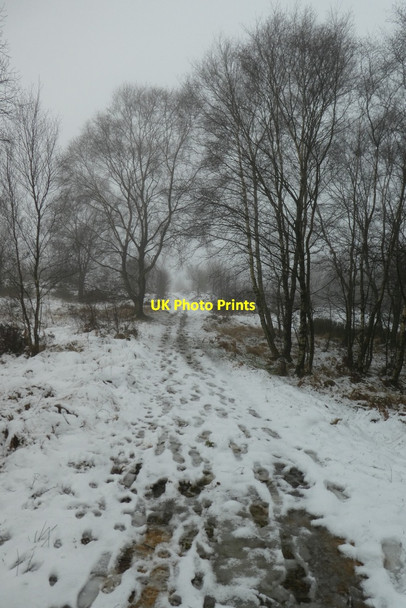 Photo 6"x4" Well trodden path in the snow Warsill c2021
