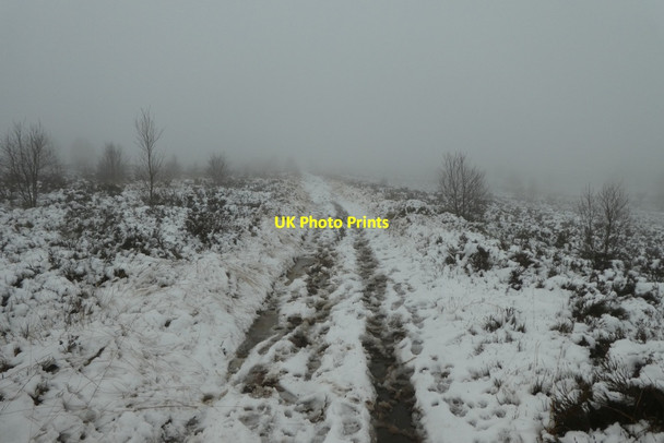Photo 6"x4" Snowy path on Brimham Moor Warsill c2021