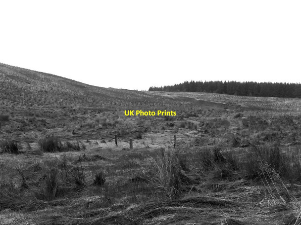 Photo 6"x4" Remains of a fence, Black Grain Yarrow\/NT3527 c2021