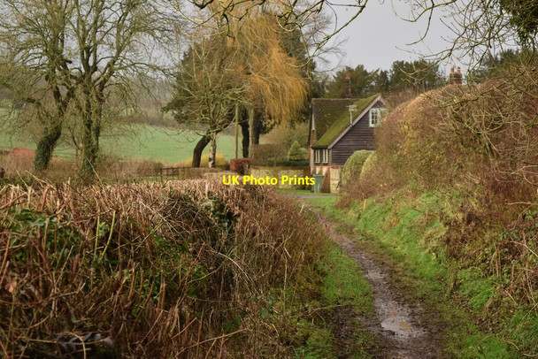 Photo 6"x4" Approaching Lower Whiteflood Farm on the Allan King Way Baybridge\/SU5223 c2021