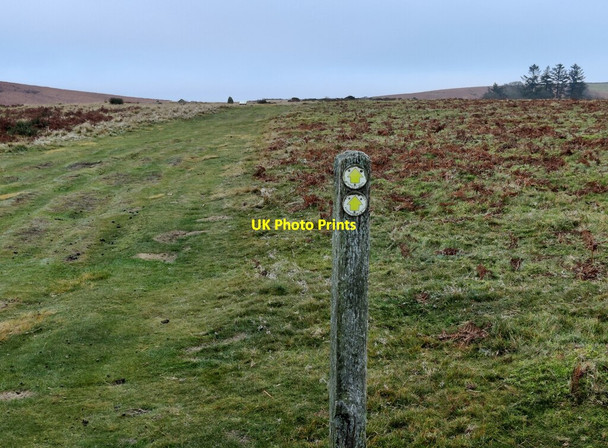 Photo 6"x4" Path leading to the Mitchell's Fold Stone Circle White Grit c2021