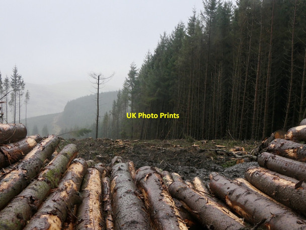 Photo 6"x4" Clear fell, Kirkhope Forest Yarrow\/NT3527 c2021