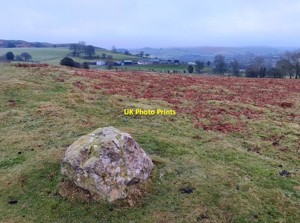 Photo 6"x4" Stone at the Mitchell's Fold Stone Circle White Grit c2021