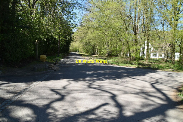 Photo 6"x4" Carlton Rd Blindley Heath c2021