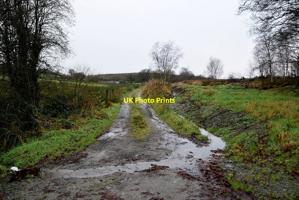 Photo 6"x4" Rough lane, Tattykeel (Buchannan) Omagh c2021
