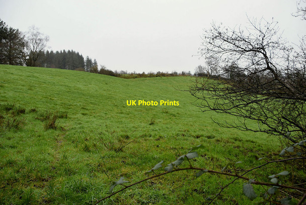 Photo 6"x4" Tattykeel (Rodgers) Omagh c2021