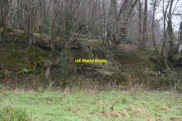 Photo 6"x4" Disused quarry Witherenden Hill c2021