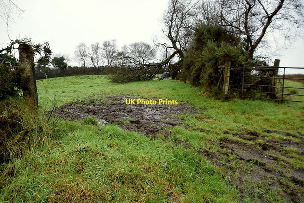 Photo 6"x4" An open field, Tallykeel Omagh c2021