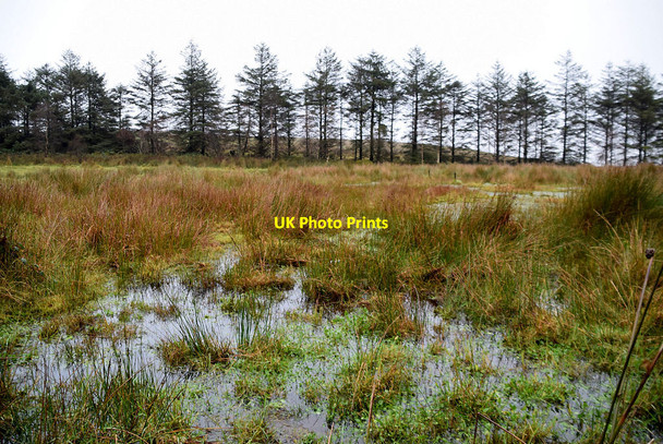 Photo 6"x4" Water-logged ground, Tattykeel Omagh c2021