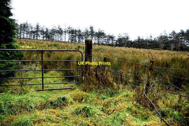 Photo 6"x4" Gate and rough countryside, Tattykeel Omagh c2021