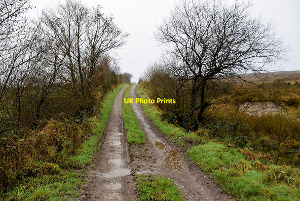 Photo 6"x4" Rough along Crocknageeragh Road Drumquin c2021