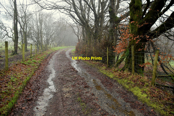 Photo 6"x4" Muddy along Crocknageeragh Road Drumquin c2021
