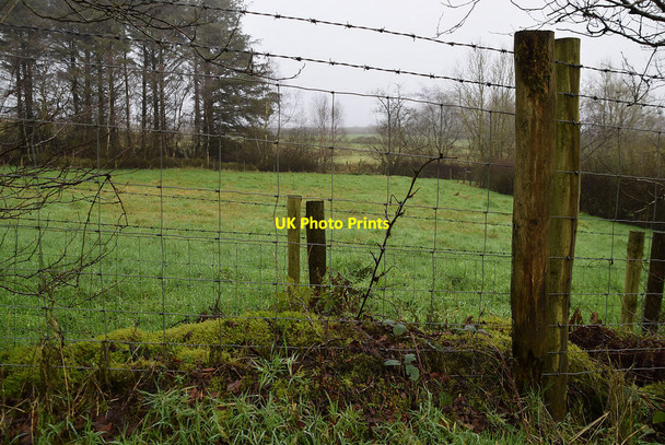 Photo 6"x4" Tattykeel (Rodgers) Omagh c2021