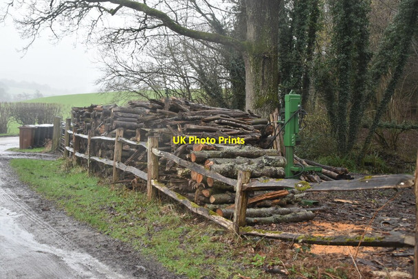 Photo 6"x4" Log stack Witherenden Hill c2021