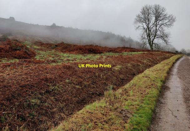 Photo 6"x4" Low cloud at Swinyard Hill Chandler's Cross\/SO7738 c2021