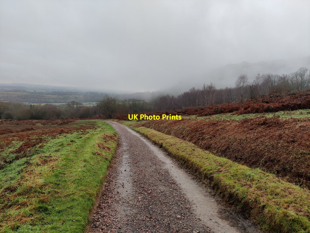 Photo 6"x4" Track descending Swinyard Hill Chandler's Cross\/SO7738 c2021