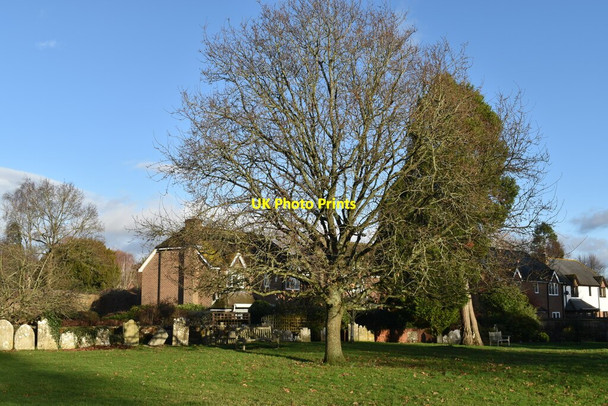 Photo 6"x4" In Fordingbridge churchyard Fordingbridge c2021