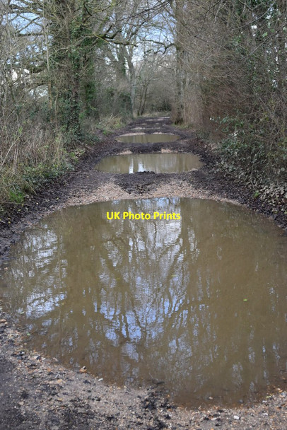 Photo 6"x4" Puddleslosh Lane Fordingbridge c2021
