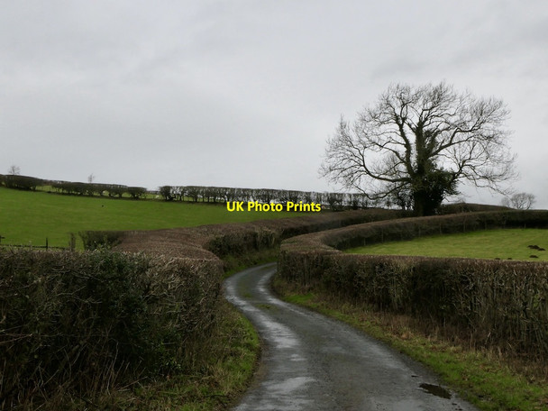 Photo 6"x4" Hosticle Lane Kirkby Lonsdale c2021