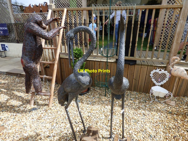 Photo 6"x4" Iron Herons Wootton\/SJ3427 c2017