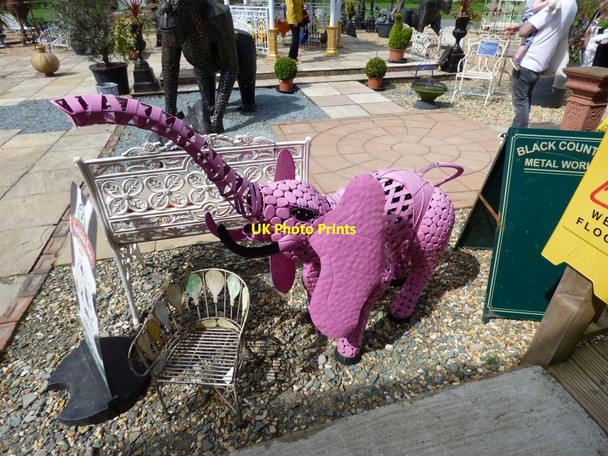 Photo 6"x4" Pink Elephant Wootton\/SJ3427 c2017