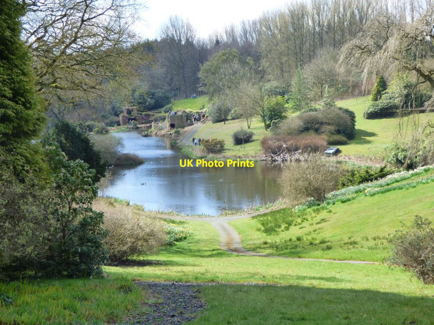 Photo 6"x4" View down one of the lakes at Consall Hall Consall c2017