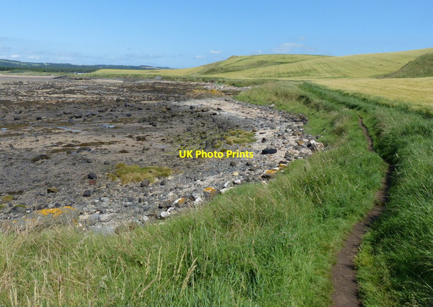 Photo 6"x4" Fife Coastal Path at Kincraig Earlsferry c2019