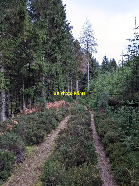 Photo 6"x4" West Woods Track Chapel of Stoneywood c2021