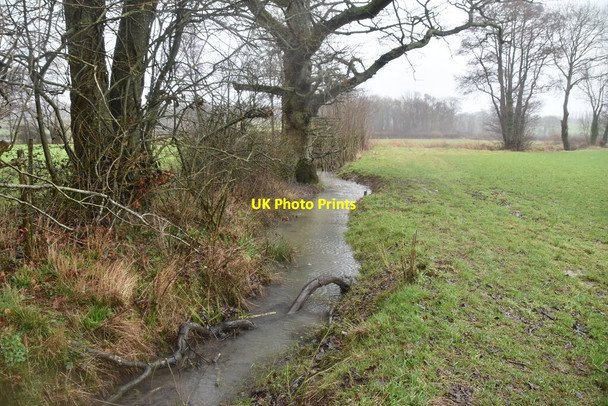 Photo 6"x4" Small stream along hedge Witherenden Hill c2021