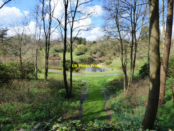 Photo 6"x4" View of one of the lakes from a sitting area Consall c2017