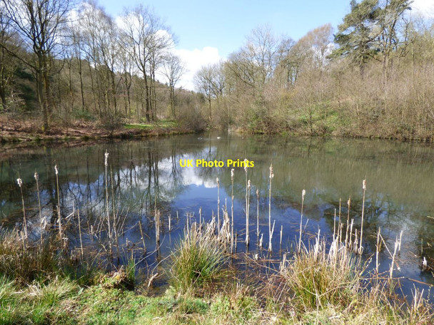 Photo 6"x4" One of the lakes at Consall Hall Consall c2017