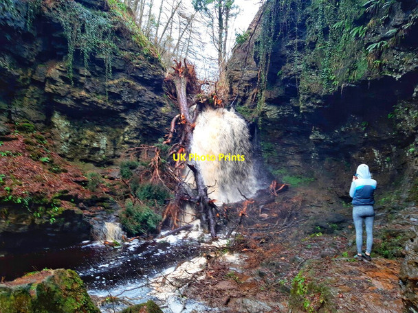 Photo 6"x4" Hareshaw Linn Bellingham\/NY8383 c2021