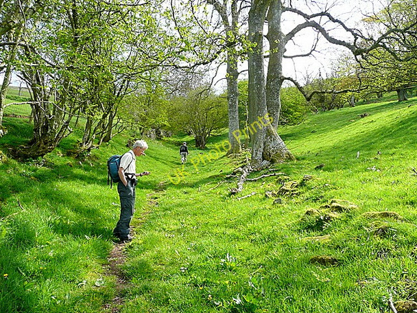 Photo 6"x4" Bridleway to Sugarloaf  (Y Fal) 3 Llangenny c2009
