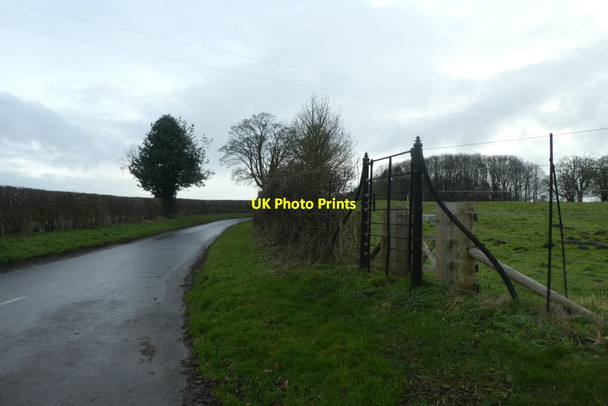 Photo 6"x4" Road near Aldby Hall Buttercrambe c2021