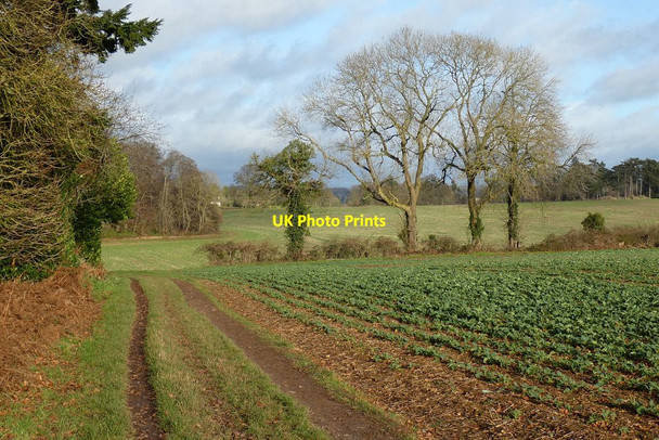 Photo 6"x4" Farmland, Shiplake Harpsden c2021