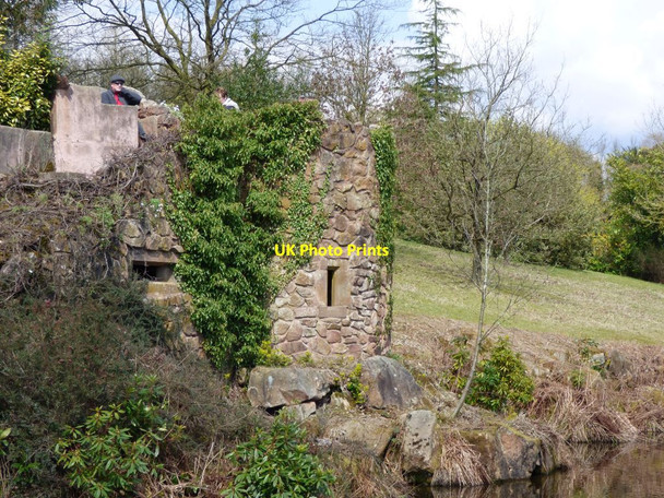 Photo 6"x4" Folly next to the lake at Consall Hall Consall c2017 P1