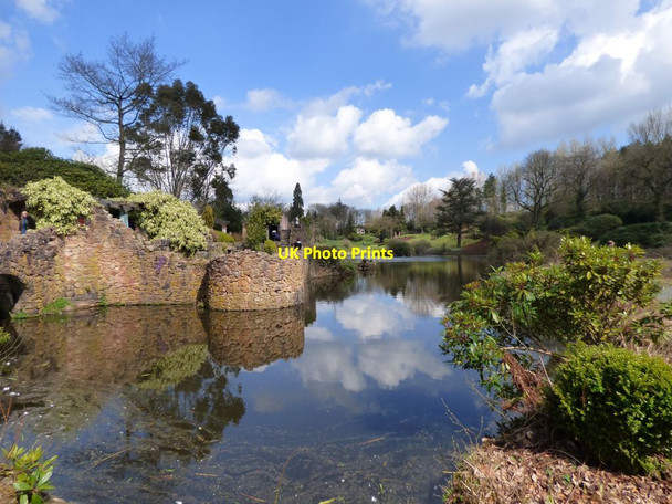 Photo 6"x4" View across the lake from next to the Folly Consall c2017