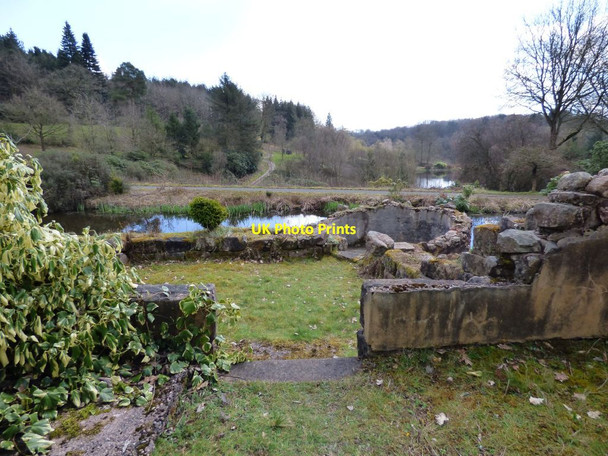 Photo 6"x4" View from the Folly down the valley Consall c2017
