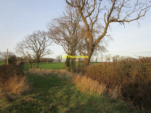 Photo 6"x4" Field entrance, Osgodby Irnham c2021