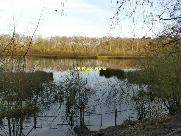 Photo 6"x4" Small mere north of the Whitegate Way Marton\/SJ6168 c2021