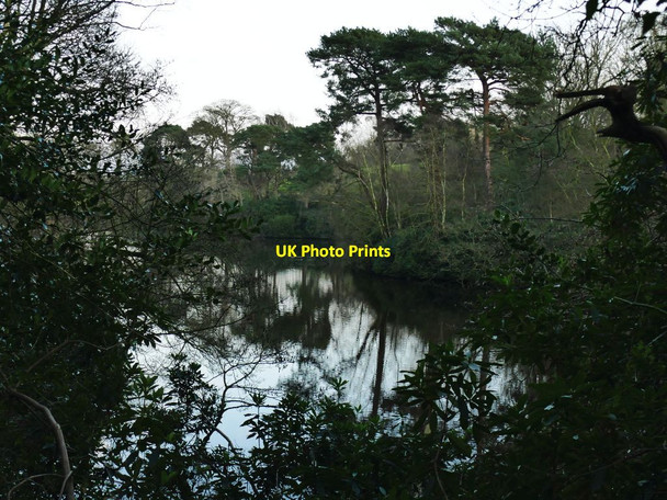 Photo 6"x4" Cuddington Pool Cuddington\/SJ5971 c2021